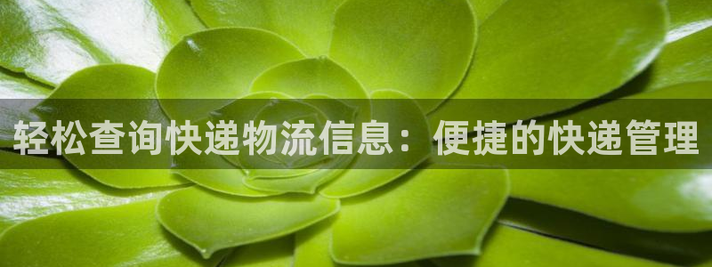 28圈pc预测