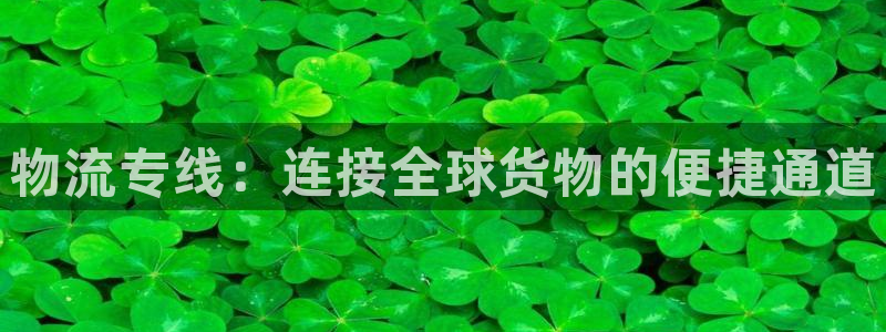 28圈加拿大在线预测