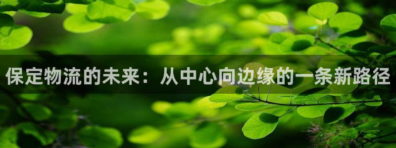 南宫28圈怎么注册：保定物流的未来：