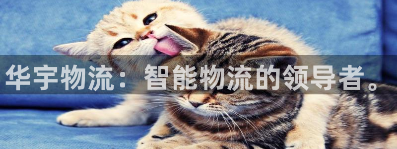 28圈那个才是充值账号