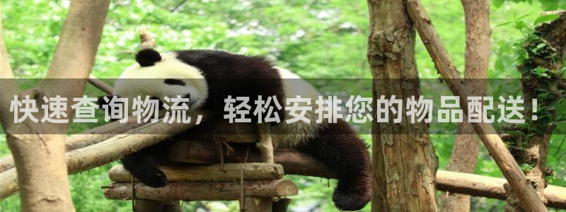 28圈正规吗：快速查询物流，轻松安排您的物品配送！