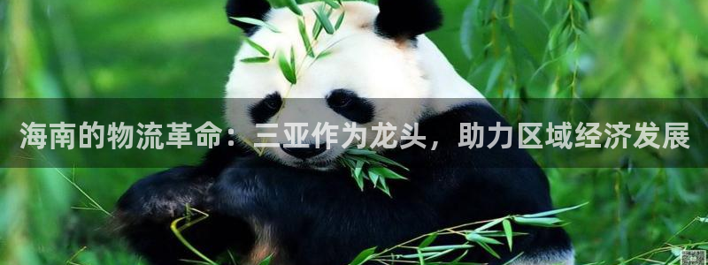 28圈注册网站多少钱一个：海南的物流革命：三亚作为龙头，助力