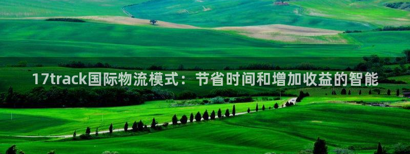 28圈注册上限是啥意思：17track国际物流模式：节省时间