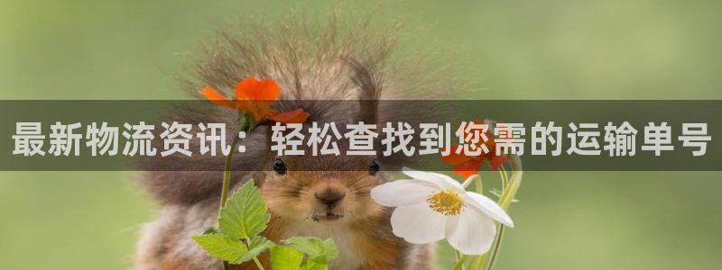28圈充值不到账：最新物流资讯：轻松查找到您需的运输单号