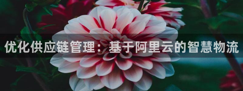 28圈昵称：优化供应链管理：基于阿里云的智慧物流