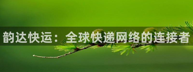 28圈模拟：韵达快运：全球快递网络的