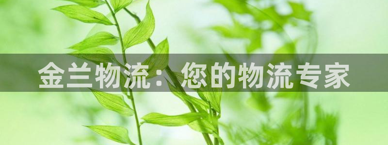 28圈黑不黑