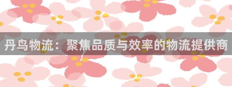 28圈是干嘛的：丹鸟物流：聚焦品质与效率的物流提供商