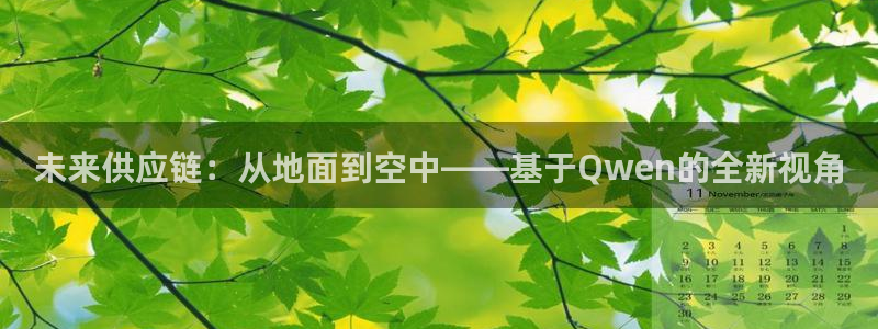 28圈官方平台：未来供应链：从地面到