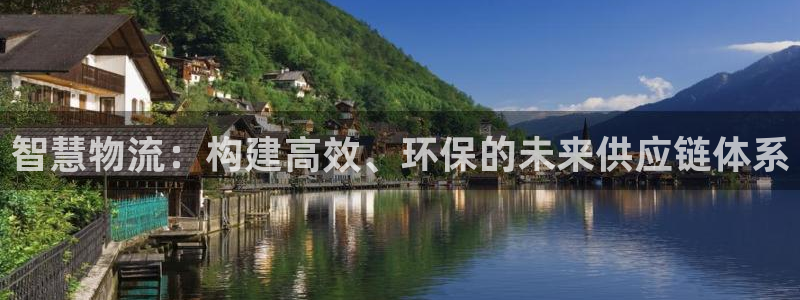 28圈的自行车：智慧物流：构建高效、