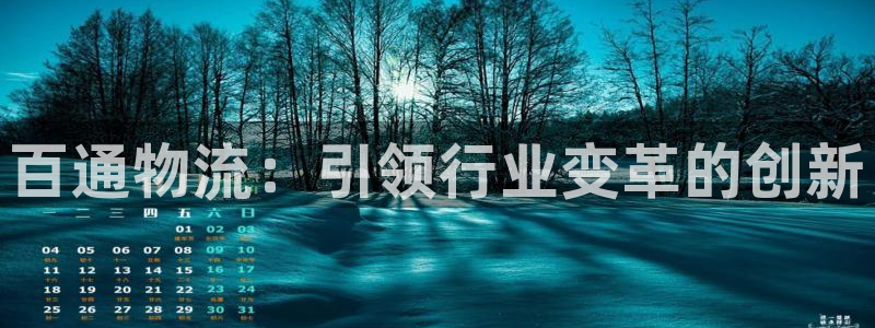 28圈游戏最新版：百通物流：引领行业