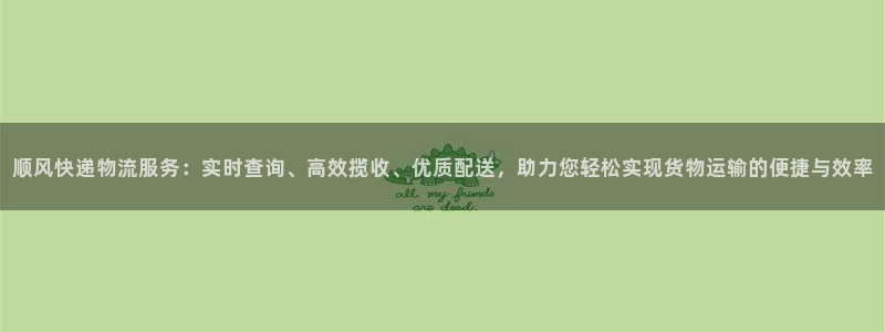 28圈注册平台：顺风快递物流服务：实
