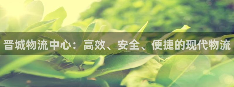 28圈注册号：晋城物流中心：高效、安