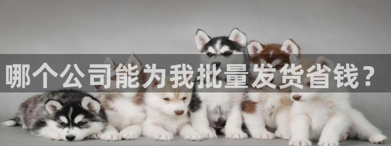 28圈加拿大下载：哪个公司能为我批量