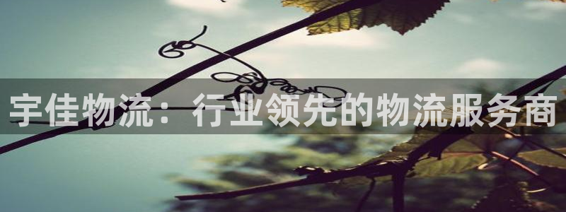 28圈注册流程：宇佳物流：行业领先的物流服务商