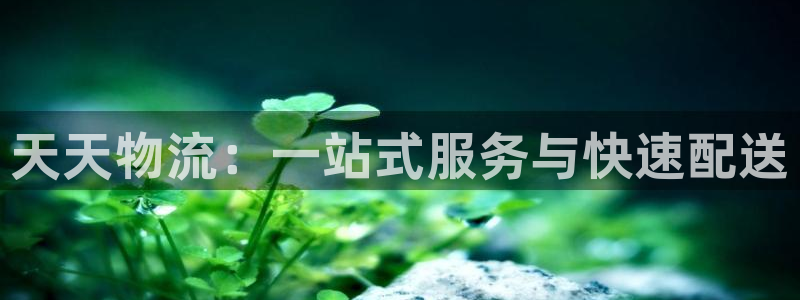 28圈模拟器下载