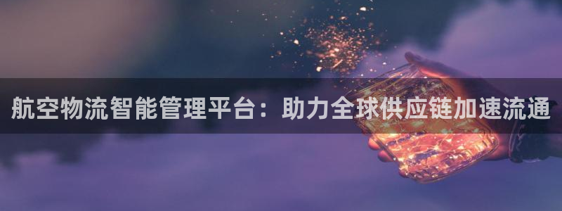 28圈加拿大预测：航空物流智能管理平台：助力全球供应链加速流