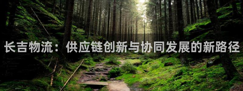 加拿大28圈是什么：长吉物流：供应链创新与协同发展的新路径