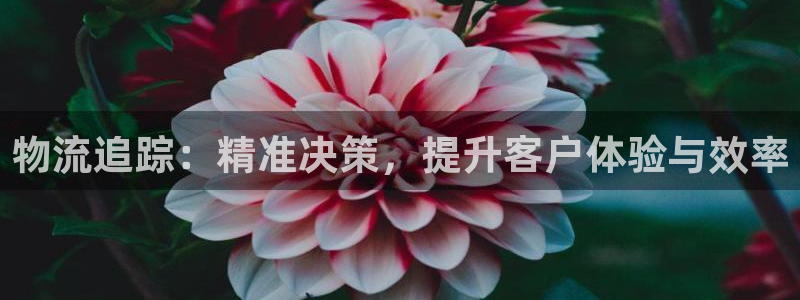 28圈官网链接