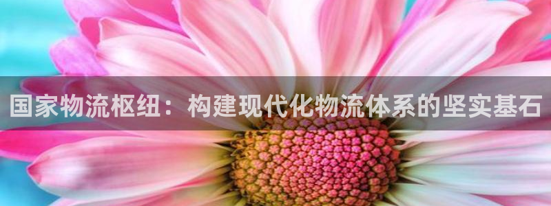 28圈充值