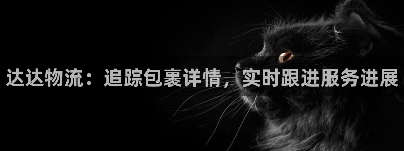 28圈软件
