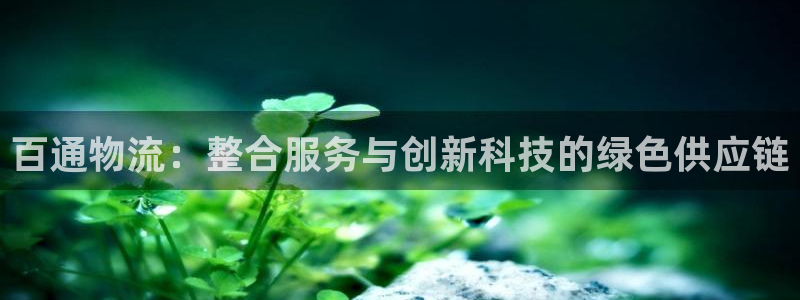 28圈充值不到账怎么回事