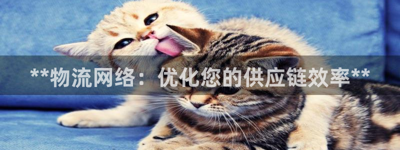 28圈推广链接是多少个