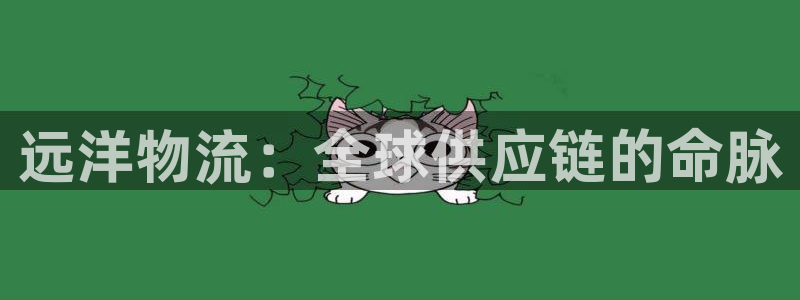 28圈吧：远洋物流：全球供应链的命脉