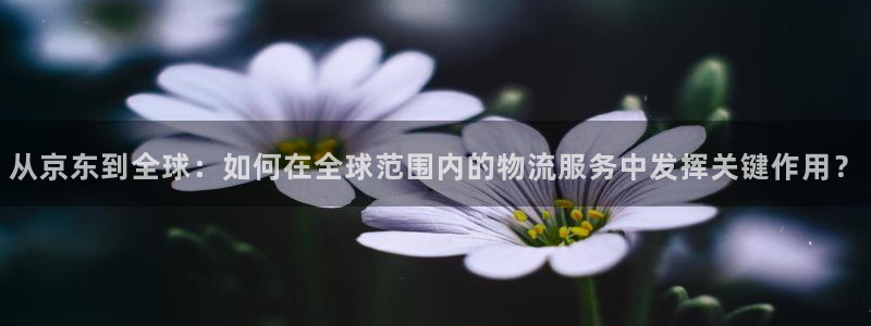 28圈提现不到账