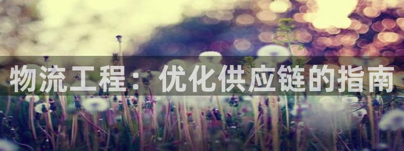 28圈模拟器下载