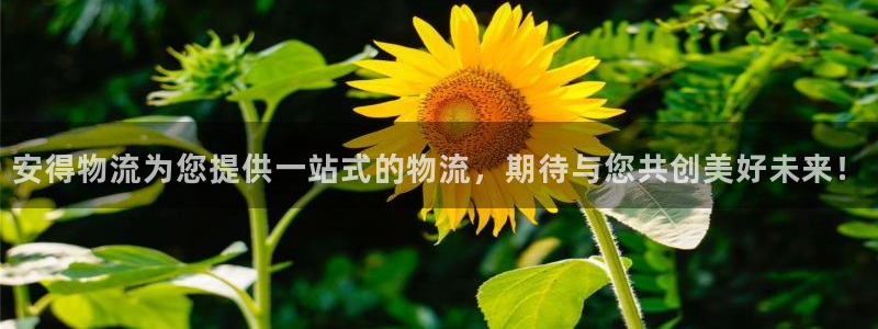 28圈官方网站预测