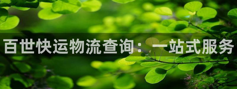 28圈app赢了500万