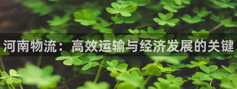 28圈推广链接是多少