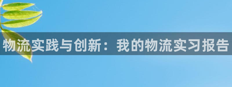 28圈取保：物流实践与创新：我的物流