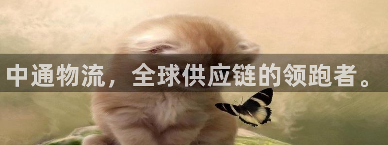 28圈下载二维码