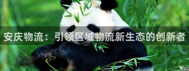 28圈链接多少:安庆物流:引领区域物