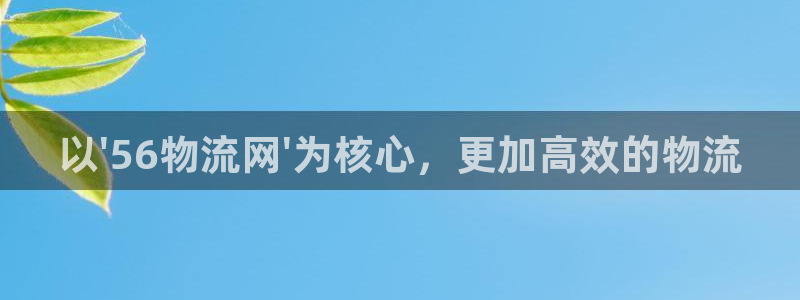 28圈ccm官网版:以\'56物流网