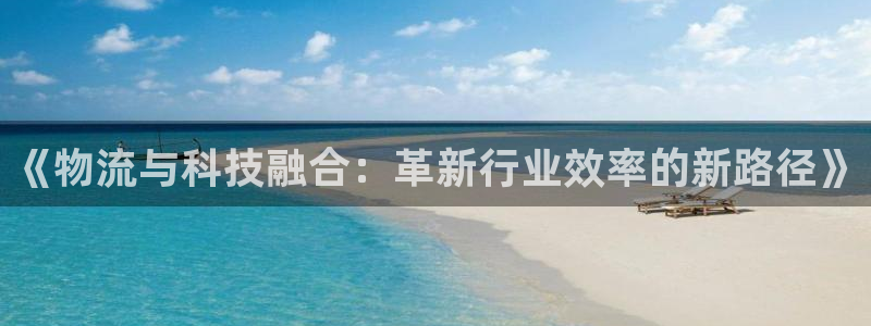 28圈玩法:《物流与科技融合:革新行