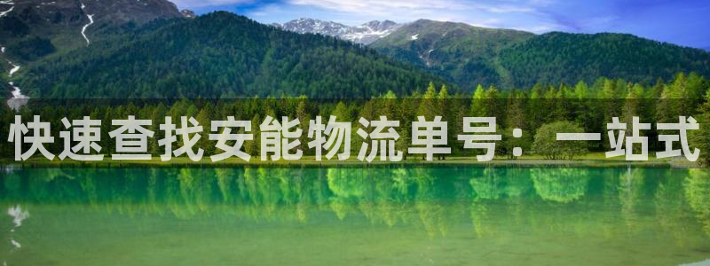 28圈链接来一个：快速查找安能物流单