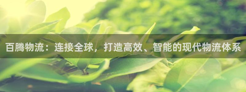 28圈官方网站是多少：百腾物流：连接
