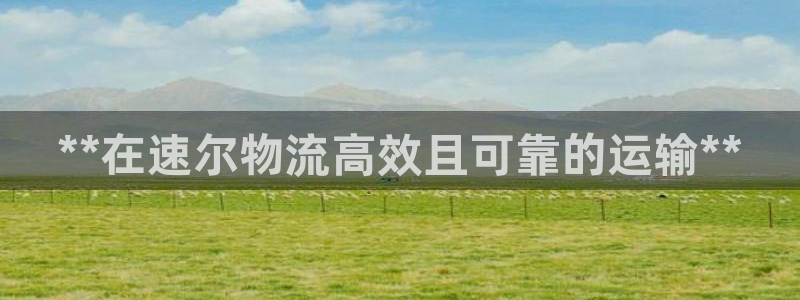 28圈初始资金密码在哪里改：**在速