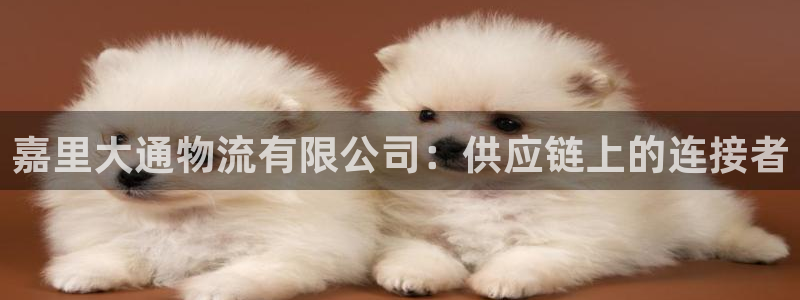 28圈.ccmpc预测：嘉里大通物流