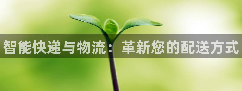 28圈下载二维码怎么弄:智能快递与物