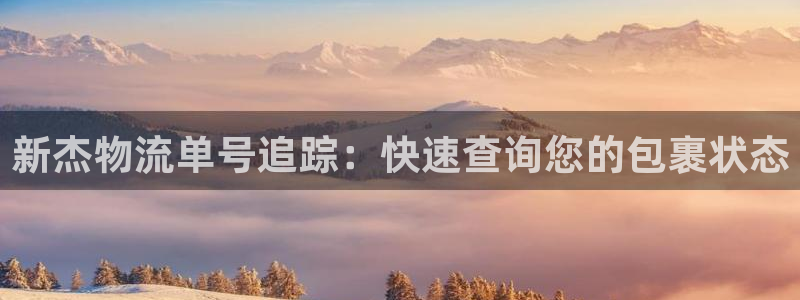 28圈预测：新杰物流单号追踪：快速查