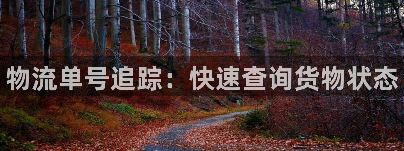 28圈退款教程：物流单号追踪：快速查