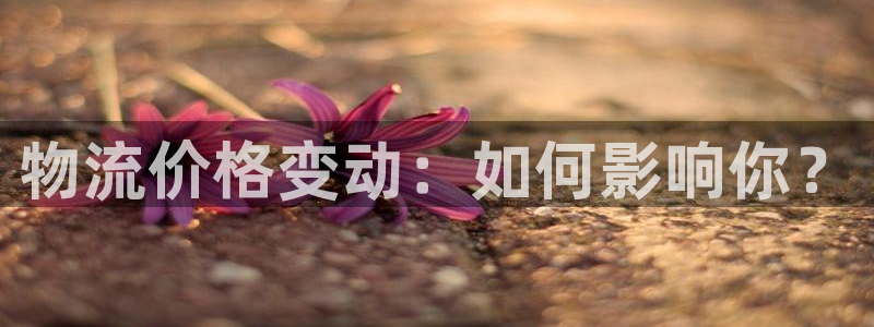 28圈流水怎么算:物流价格变动:如何