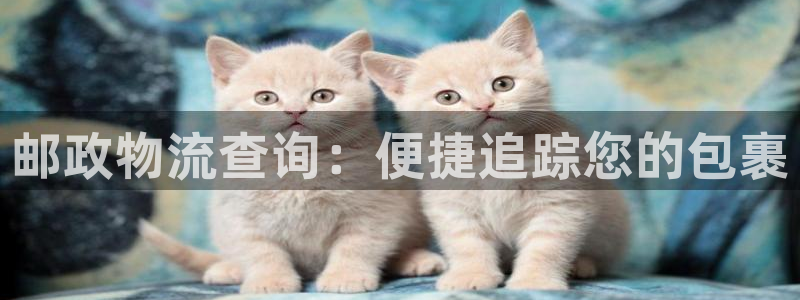 28圈注册网站多少:邮政物流查询:便