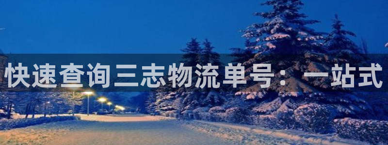 28圈开奖预测：快速查询三志物流单号
