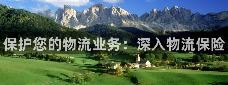 28圈注册号：保护您的物流业务：深入