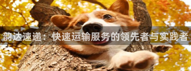 28圈.ccmapp：韵达速递：快速